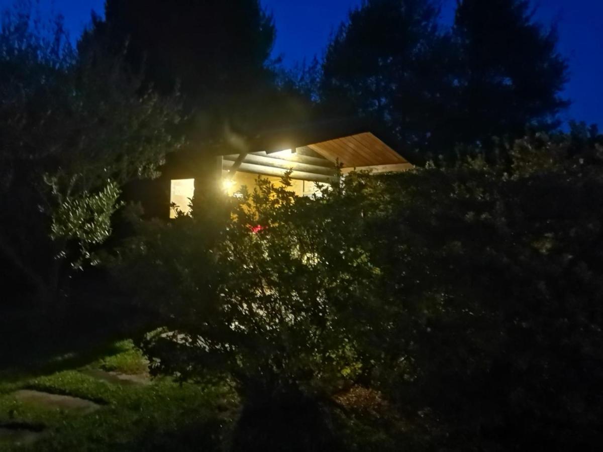Villa Alice Леза Экстерьер фото
